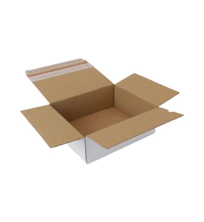 Kartonová krabice se samosvorným dnem, 3vrstvá, délka 240 mm, šířka 200 mm, výška 86 mm